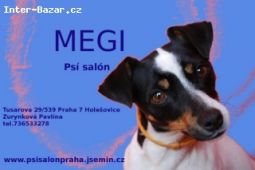 Psí salón Megi