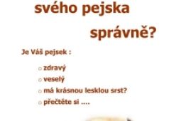 Víte jak krmit svého pejska?